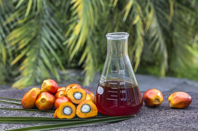 palmoil_cookingoil_ssms.co_.id_.jpg